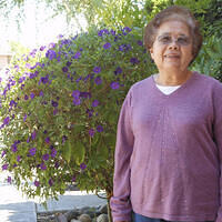 Ong ngoai pictures 727