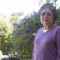 Ong ngoai pictures 728