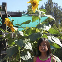 Ong ngoai pictures 729