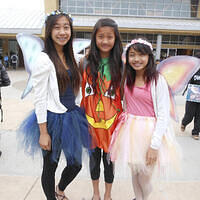 Ong ngoai pictures 763