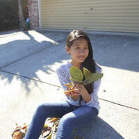 Ong ngoai pictures 787