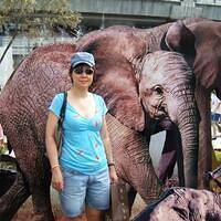 303388 167977709989648 100003322591643 250225 1388793908 n