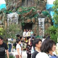 533742 167977623322990 100003322591643 250223 340974135 n