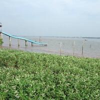 389181 172493049538114 100003322591643 263087 718852861 n