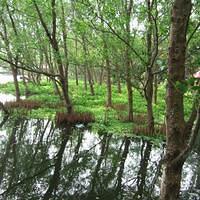 538473 172493009538118 100003322591643 263086 1933400751 n