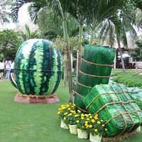Dua Hau, Banh Chung & Banh Tet
