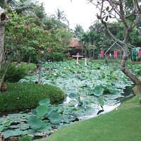 It is a garden I think