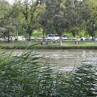 526732 167924616661624 100003322591643 249929 1009246297 n