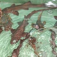 424954 164319713688781 100003322591643 239489 520733411 n