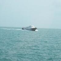 425591 164319477022138 100003322591643 239480 1397431622 n