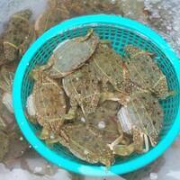 426850 164319567022129 100003322591643 239484 1262074870 n