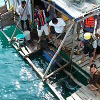 426966 164320043688748 100003322591643 239499 122070798 n