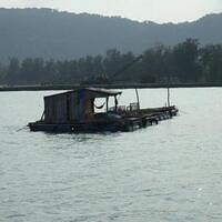 427992 164319493688803 100003322591643 239481 675063331 n