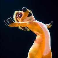 AK AK 20160630 7650743532