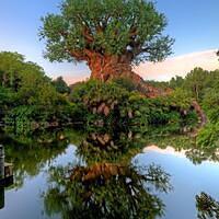 AK AK 20160630 7650743535