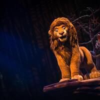 AK AK 20160630 7650743536