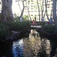 GalleryImage-1615512081