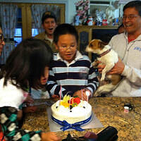 GalleryImage-1494206932