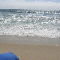 Anna's Friends, SF, Beach JUNE 2013 506