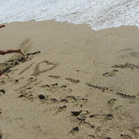 Anna's Friends, SF, Beach JUNE 2013 508