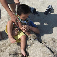 Anna's Friends, SF, Beach JUNE 2013 531