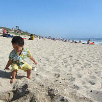 Anna's Friends, SF, Beach JUNE 2013 553