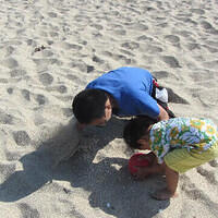 Anna's Friends, SF, Beach JUNE 2013 563