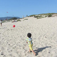 Anna's Friends, SF, Beach JUNE 2013 571