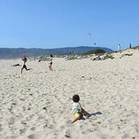 Anna's Friends, SF, Beach JUNE 2013 572