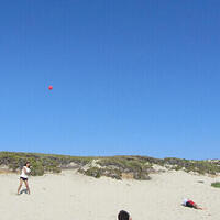 Anna's Friends, SF, Beach JUNE 2013 594