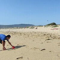 Anna's Friends, SF, Beach JUNE 2013 604