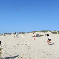 Anna's Friends, SF, Beach JUNE 2013 605