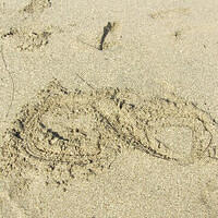 Anna's Friends, SF, Beach JUNE 2013 608