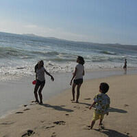 Anna's Friends, SF, Beach JUNE 2013 630