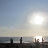 Anna's Friends, SF, Beach JUNE 2013 667