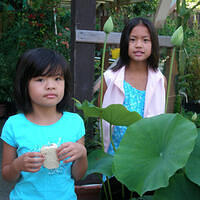 Mom's pictures 2011 095