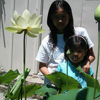 Mom's pictures 2011 106