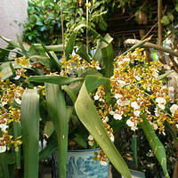 Mom's pictures 2011 168