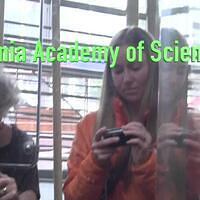 California Academy of Science 2013