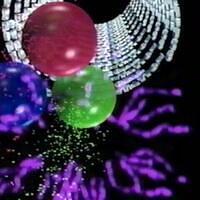 Lễ Cưới Tập 1